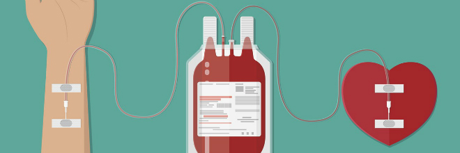 Imagen foto_00000012