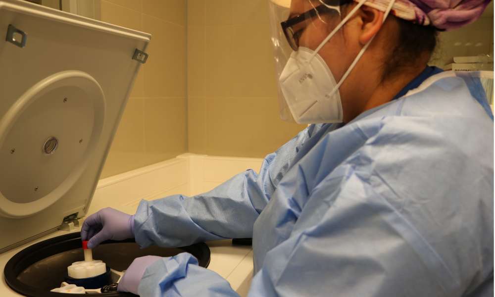 Imagen foto_00000009